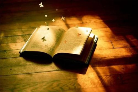 怎么提高云南成人高考復(fù)習(xí)效率？如何抓住重點(diǎn)？