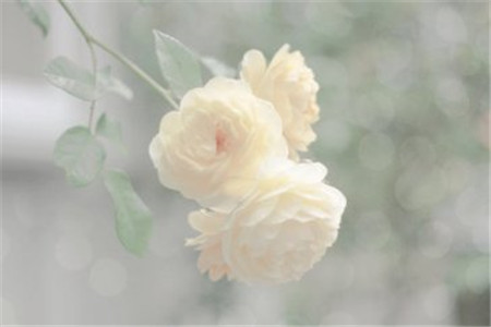 云南成人高考試題簡(jiǎn)單，錄取分?jǐn)?shù)線低，隨便考考就能過嗎？