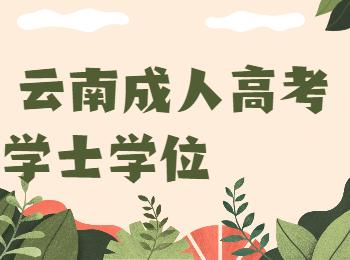 云南成人教育學(xué)位英語