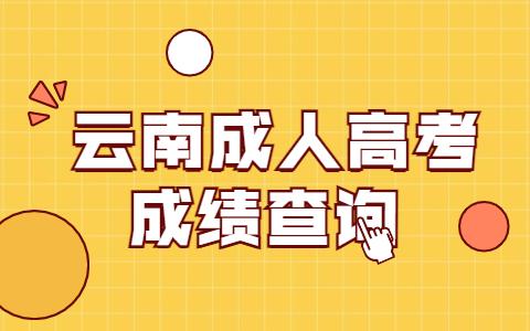 云南成人高考成績(jī)查詢時(shí)間