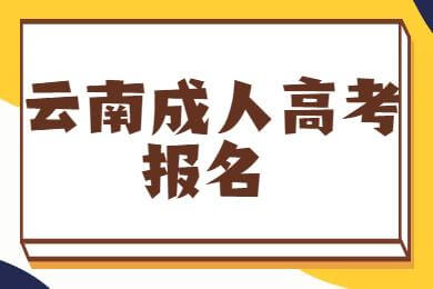 云南函授報(bào)名