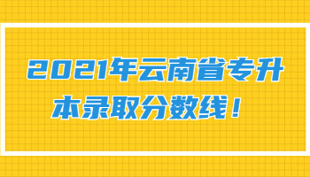 云南省專升本錄取分?jǐn)?shù)線
