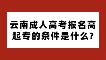 云南成人高考報(bào)名高起專