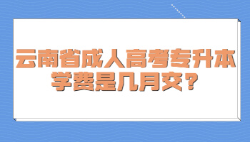 云南省成人高考專升本學(xué)費