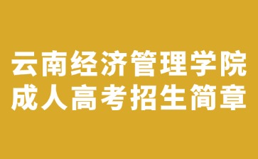 2024年云南經(jīng)濟管理學(xué)院成人高考招生簡章